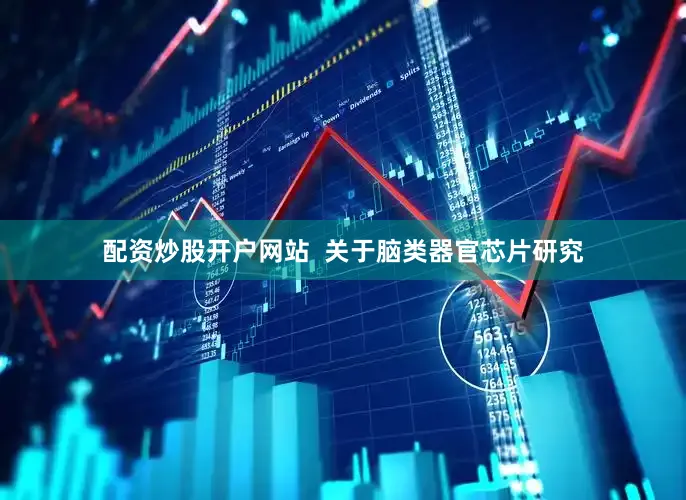 配资炒股开户网站  关于脑类器官芯片研究