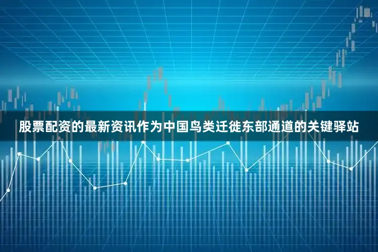 股票配资的最新资讯作为中国鸟类迁徙东部通道的关键驿站